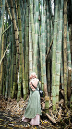 Rear view of woman standing amidst bamboo groove
