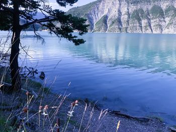 Scenic view of lake against trees