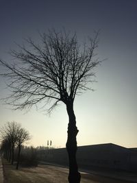 Silhouette tree against sky during sunset