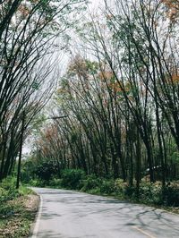 Empty road amidst trees in forest