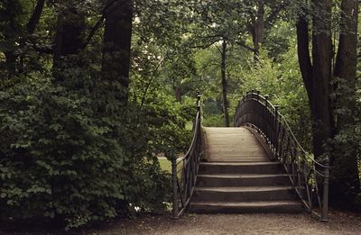 Boardwalk amidst trees in forest