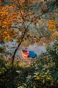 Car on lake during autumn