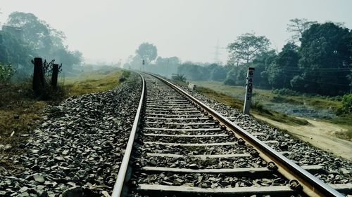 Railroad tracks amidst trees against sky