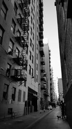 View of city street