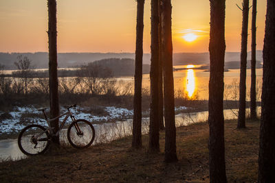 Bicycle by trees against sky during sunset