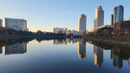 reflection