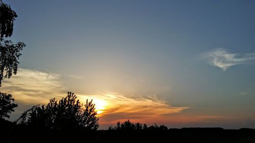 Silhouette trees against sky during sunset