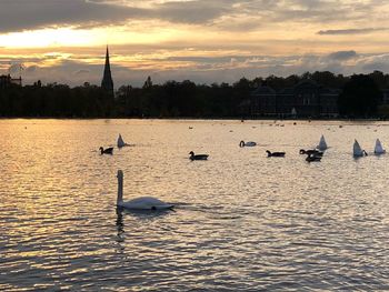 View of birds in lake against sunset sky