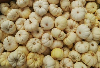 Full frame shot of pumpkins in market