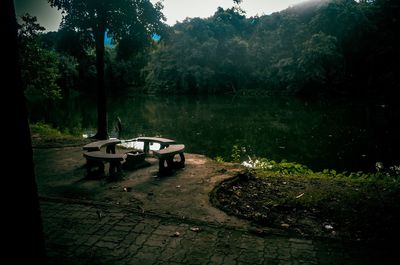 Chairs on lake against trees in forest