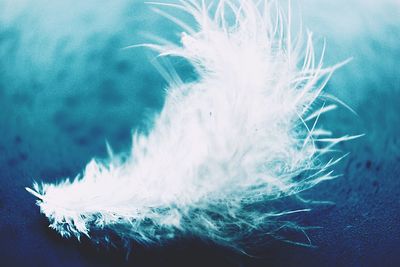 Close-up of water splashing on white background