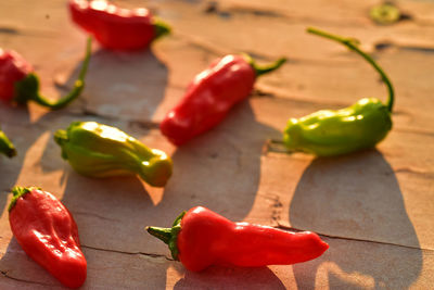 Homegrown red, orange, and green small hot chili peppers spicy vegetable ingredient for cooking