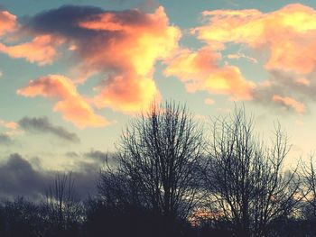 Silhouette trees against sky during sunset