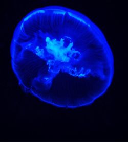 Close-up of blue sky