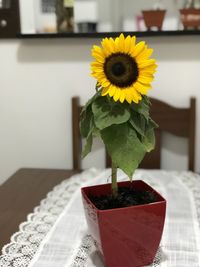 Close-up of yellow flower vase on table