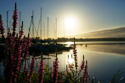 Scenic view of lake against sky during sunset