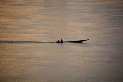 Silhouette of person in sea