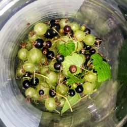 Close up of grapes
