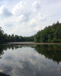 Scenic view of lake by trees against sky