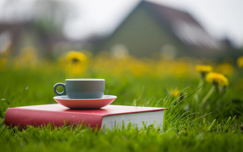 Close-up of coffee cup on field
