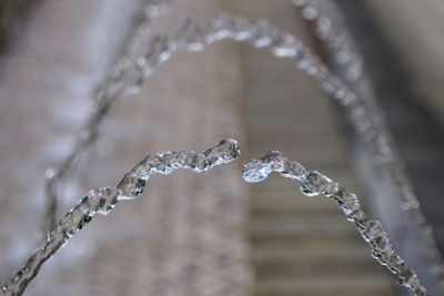 Close up of frozen water