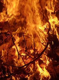 Close-up of bonfire