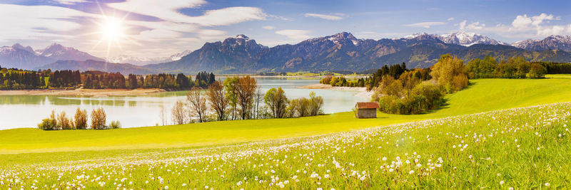 Beautiful panoramic landscape at springtime