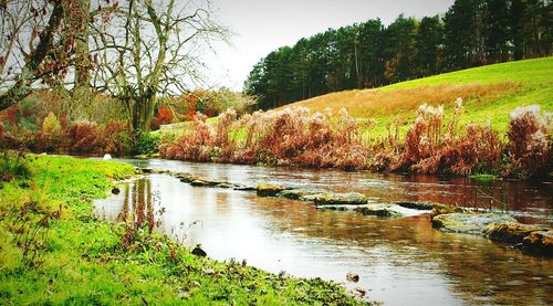 Scenic view of river