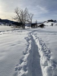 Bare trees on snow covered field against sky