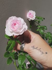 Close-up of hand holding rose bouquet