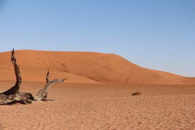 Scenic view of desert against clear sky