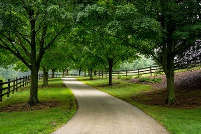 Empty road amidst trees in park