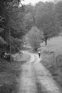 Road passing through landscape