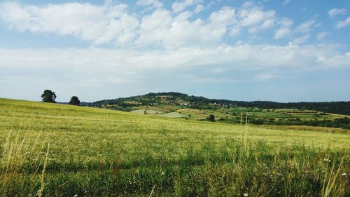 Scenic view of field against sky