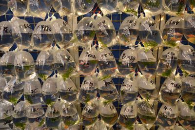 Full frame shot of goldfish in plastic bags for sale at market