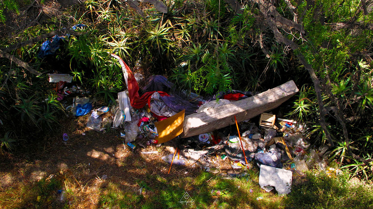 plant, nature, forest, land, day, grass, no people, high angle view, natural environment, jungle, outdoors, field, wilderness, sunlight, tree, growth, garbage, environment, litter