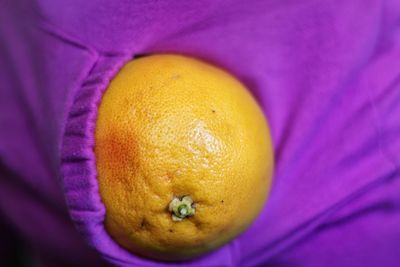 Midsection of man holding grapefruit