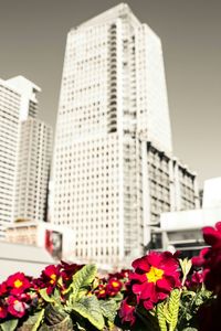 View of buildings in city