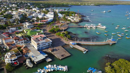 High angle view of boats moored at harbor