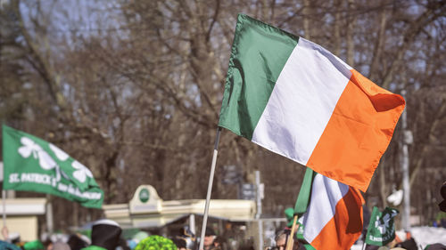 Irish flags against bare trees