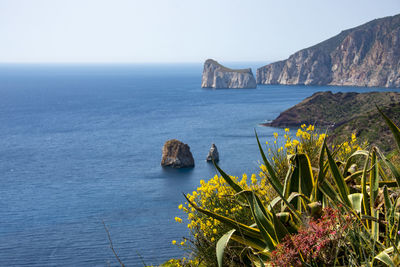 Scenic view of sea against clear sky