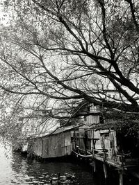 Bare tree by building against sky