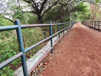 Railing by trees