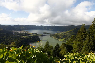 Scenic view of lake and trees against sky