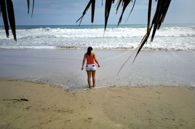 Rear view of woman standing on beach