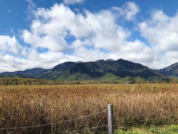 Scenic view of field against sky