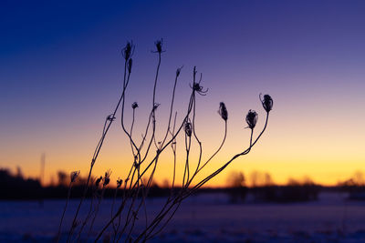 Autumn's frozen whisper. meadows embracing winter's arrival in northern europe