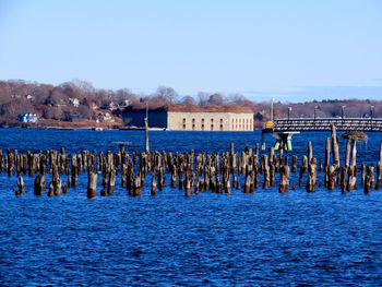 Wooden posts in sea against clear sky