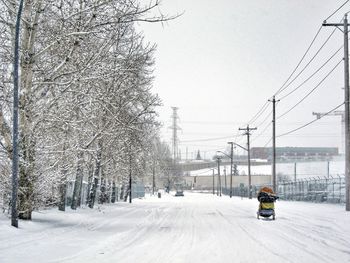 Car on snow covered tree