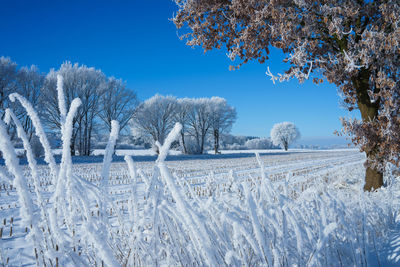 Snow covered field against sky